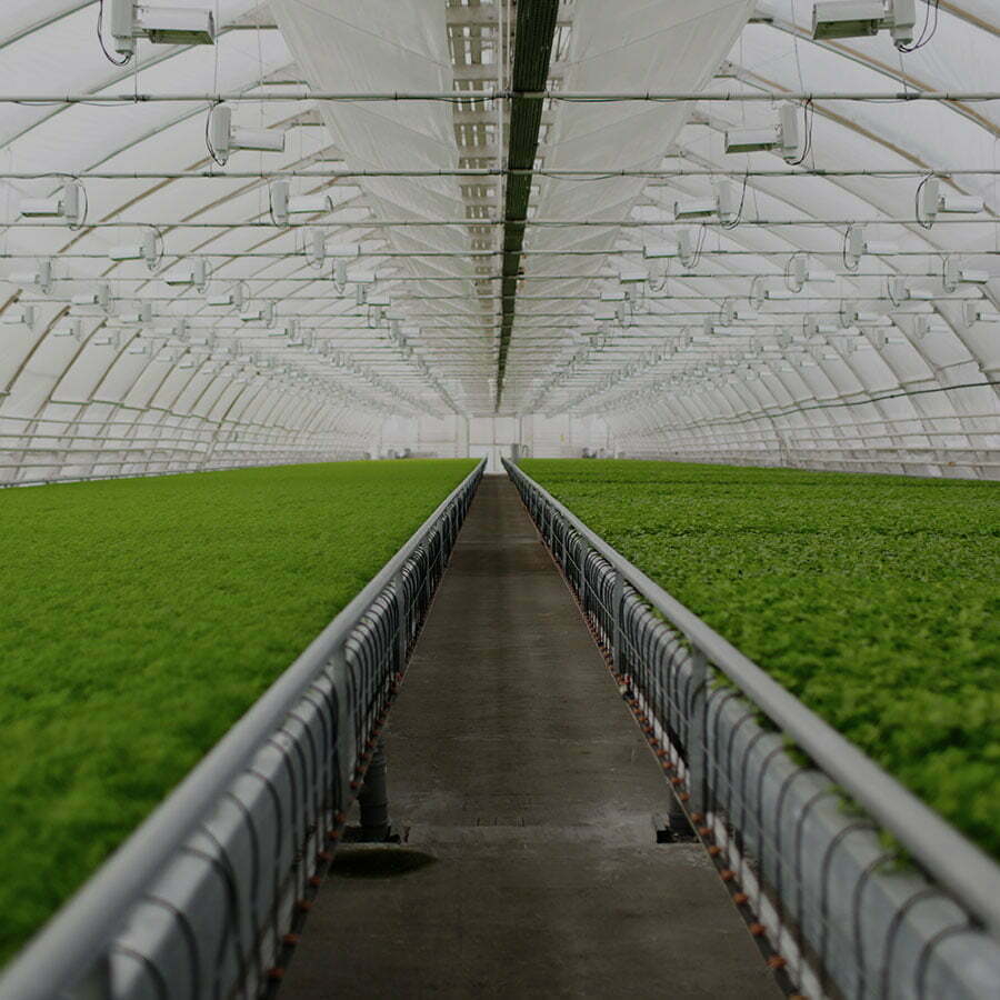 Vision IA L'intelligence artificielle