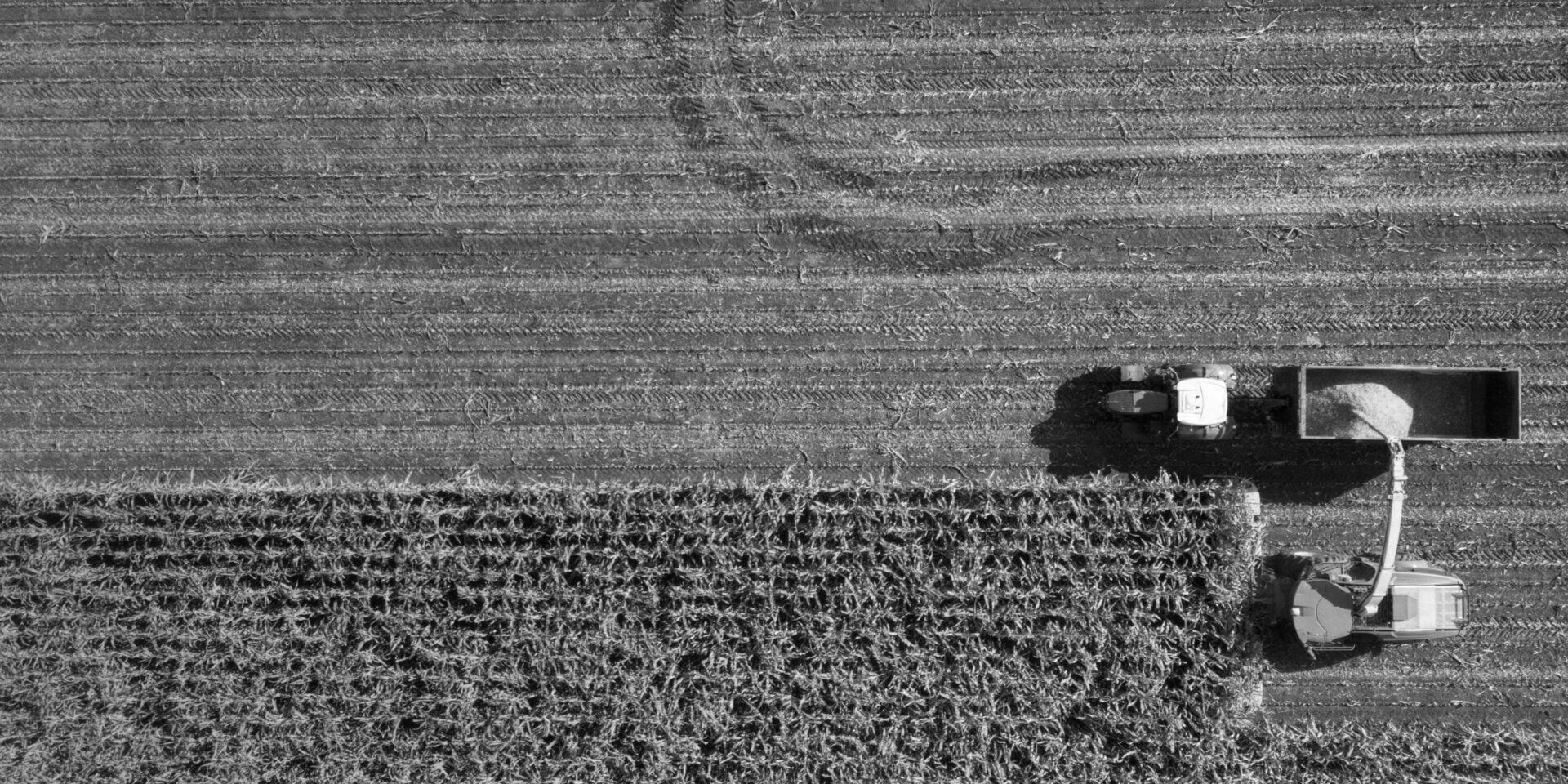 Vision IA Intelligence artificielle dans l'agriculture et l'agroalimentaire